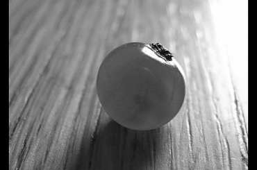 porzeczka w black & white #makro #porzeczka