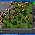 Tibia #tibia