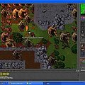 Tibia #tibia