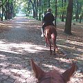 30 września 2007