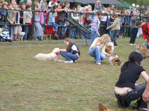 ...piknik agility....