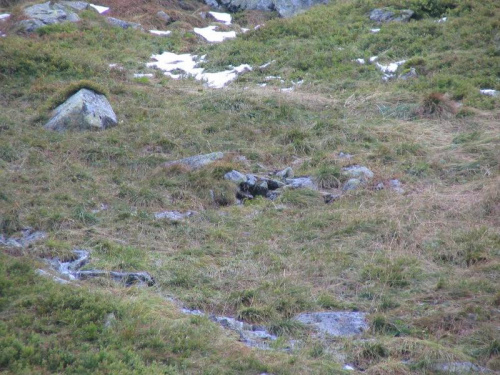 tatry-lato2007